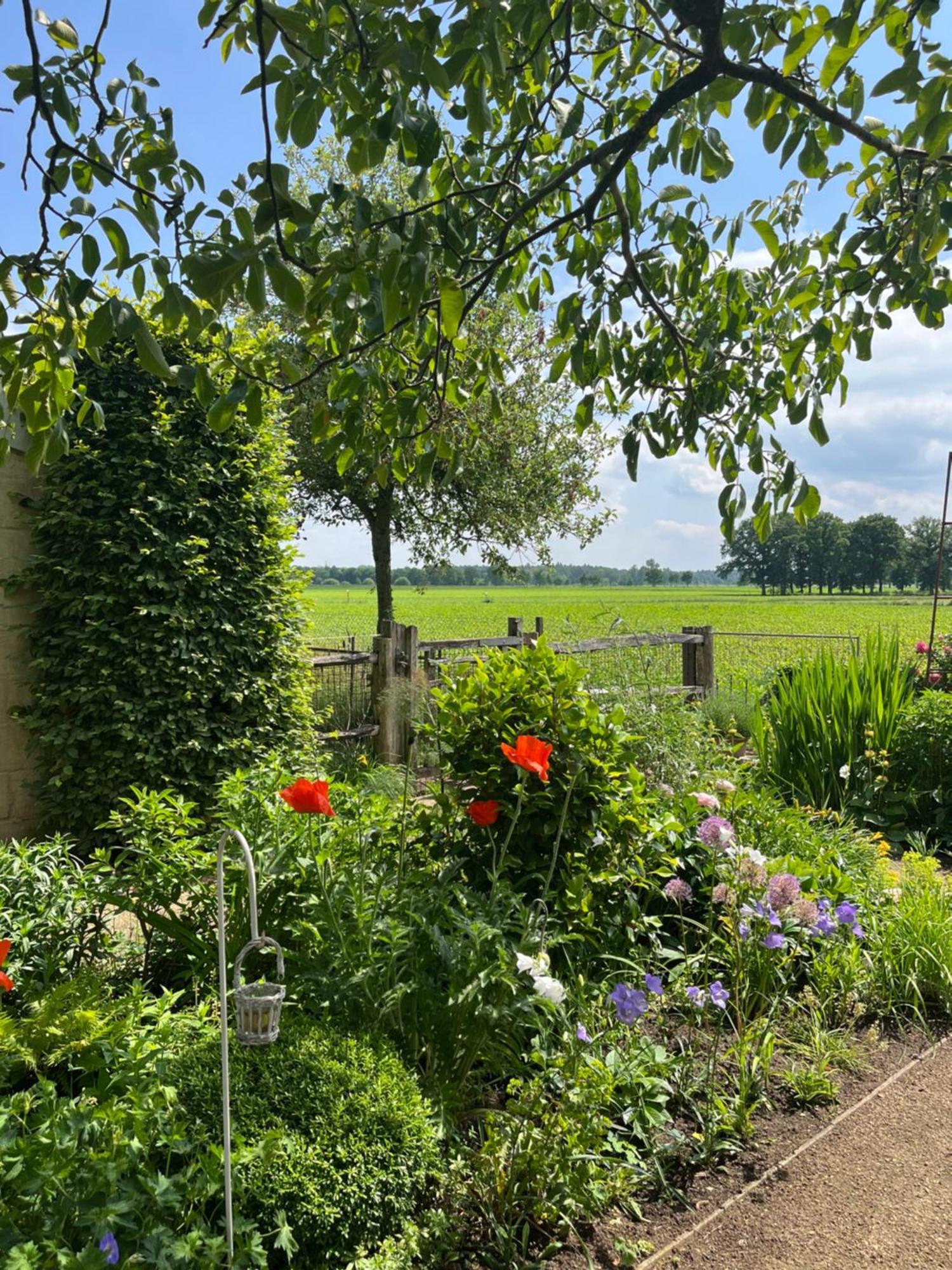 Logies Tuin Der Zinnen Rijkevorsel Exteriör bild
